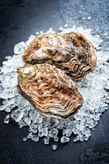 Fresh rock oyster offered as closeup on crushed ice with copy space