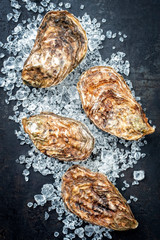 Fresh rock oyster offered as top view on crushed ice with copy space