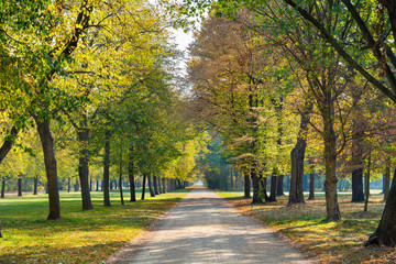 The Great Garden (German: Großer Garten) is a baroque style park in central Dresden, Germany. View...