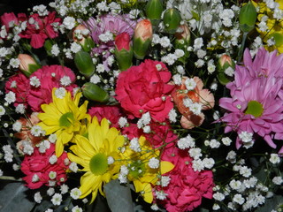 flowers collor