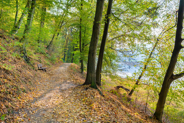 Obraz premium Hiking trail in the Saxon Switzerland National Park, Germany, (German: Nationalpark Sächsische Schweiz) in the forest next to the river Elbe in late summer / early autumn..