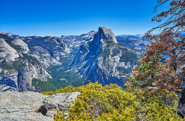 The most beautiful Yosemite National Park in the world, dense trees, fresh air, blue sky