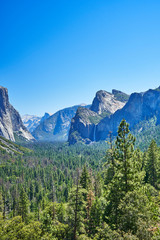 Fototapeta premium The most beautiful Yosemite National Park in the world, dense trees, fresh air, blue sky