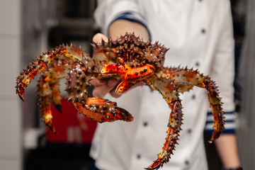 Chef of premium michelin restaurant in white uniform is holding fresh big kamchatka crab. Concept useful seafood in the menu of elite five star hotel