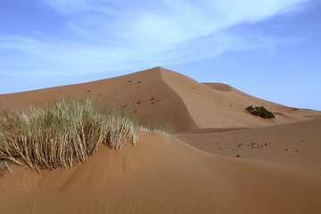 The beauty of the Saharan dunes around Merzouga, Morocco