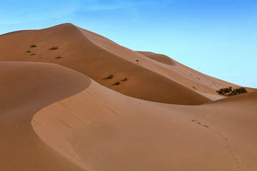 Fototapeta na wymiar The beauty of the Saharan dunes around Merzouga, Morocco