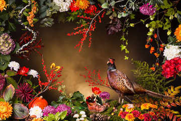 Beautiful fall still life with a pheasant insects, flowers and fruit set against a foggy background.