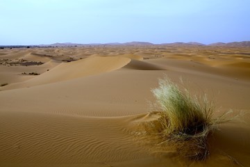 The beauty of the Saharan dunes around Merzouga, Morocco