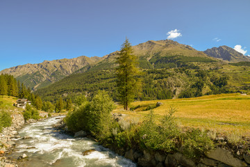 Fototapeta na wymiar Panoramic view of a mountain landscape with a stream among fields and forest covered peaks in summer, Cogne, Gran Paradiso, Aosta Valley, Alps, Italy