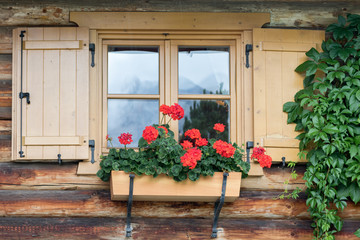 Fototapeta na wymiar Lagazuoi, Italy - August 25, 2018: red geraniums in a planter are hung on a window sill of a Tyrolean house