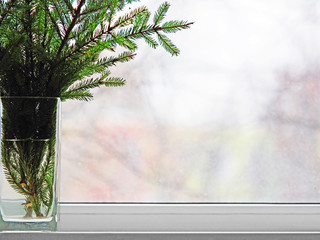 Spruce bouquet, branches in a vase on the window, close-up. Christmas tree, decoration for home, xmas atmosphere