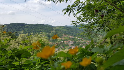 Mountain Village view trough the flowers and forest at noon