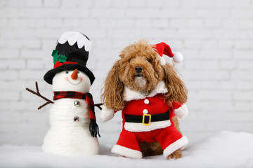 Christmas Puppy Dog in Santa Suit with White Brick Wall