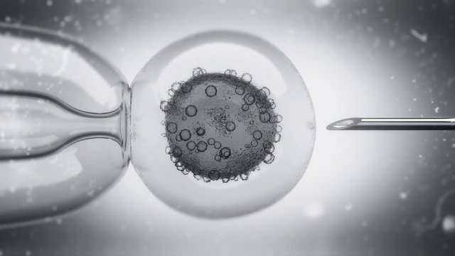 3D Animation of a DNA filled liquid being injected into an egg cell nucleus