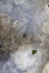 wet and moldy Granite table texture