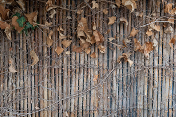 Separation with foliage