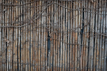 Separation with foliage