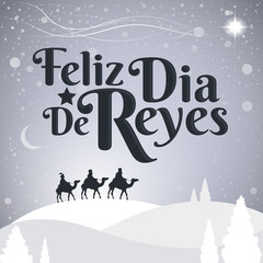 Feliz Dia de reyes, Happy Day of kings spanish text, Latin American Tradition with the Three Wise Men