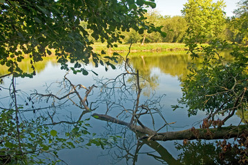 Fototapeta premium Etang des Gravières (DAX)