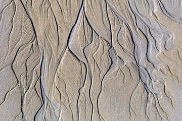 Water lines in sand on a beach. They resemble veins, or rivers seen from space, and flow from top...