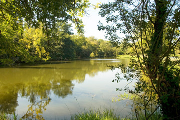 Etang des Gravières (DAX)