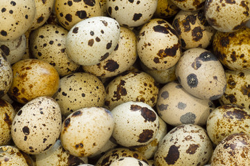 background from a lot of quail eggs texture of eggs closeup