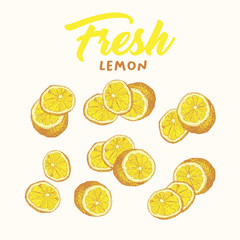Fresh lemon hand drawn vector illustrations set. Handwritten calligraphy, lettering. Sketch fruits clipart collection. Sliced lemons engraving style drawing. Isolated citrus color design elements