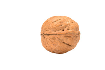 Whole walnut, close up macro view from right front side, isolated on white background.