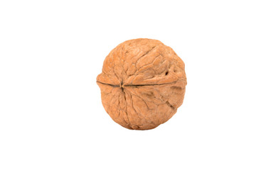 Whole walnut, close up macro center view, isolated on white background.