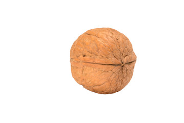Whole walnut, close up macro view from left front side, isolated on white background.