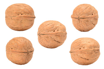 Set of whole walnut, view from five different sides, isolated on white background.