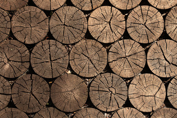 Fototapeta premium Paving made of wooden logs