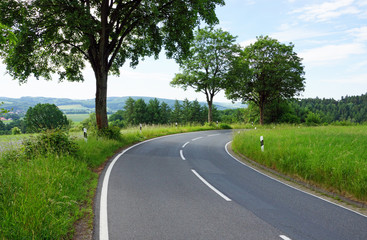 Landstraße oder Straße mit Bäumen und Wiesen im Sommer