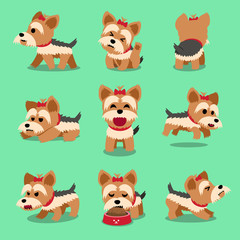 Vector cartoon character yorkshire terrier dog poses set for design.