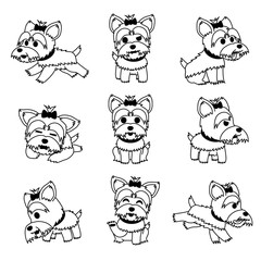 Obraz premium Cartoon character yorkshire terrier dog poses set for design.