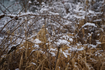 Winterpanorama. Winter. Wintarstrasse. Winterurlaub.