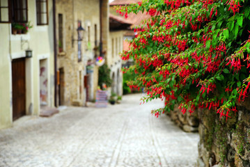 Fototapeta na wymiar Street scene in Santillana del Mar medieval city, Spain, Europe