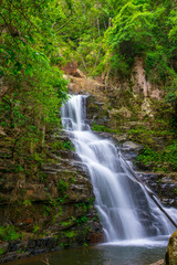 Obraz premium waterfall cascade in rainforest