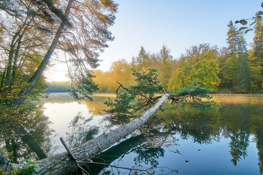 Pfaffensee Stuttgart B&auml;rensee