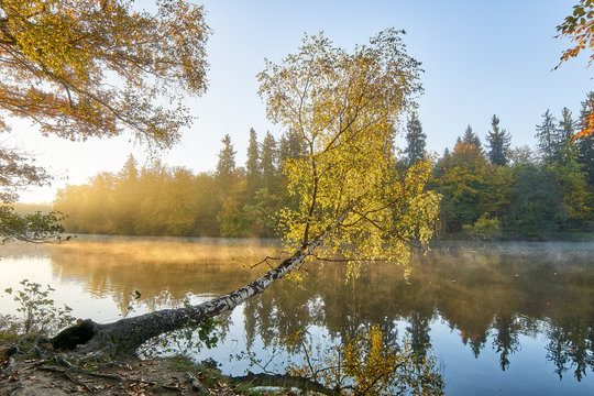 B&auml;rensee Pfaffensee Stuttgart morgens 