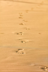 Footprints in the sand - summer vacation