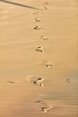 Fototapeta na wymiar Footprints in the sand - summer vacation