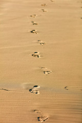 Footprints in the sand - summer vacation