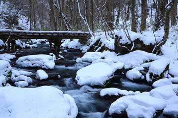 冬の渓流