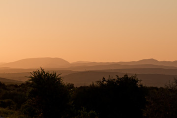 Sonnenuntergang im Addo Nationalpark in Südafrika