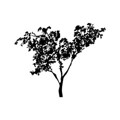 Obraz premium Green tree silhouette, handdrawn watercolor splashes, isolated on white background. Vector artistic illustration