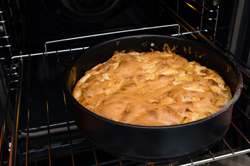 cooked homemade Apple pie stands on the grill in the oven close-up
