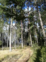 Obraz premium WEITWANDERWEG