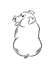 Pig drawn with black lines illustration on white background.