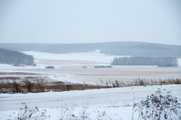 Winter landscape with field and forest